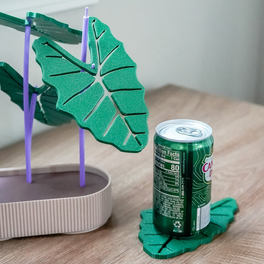Kalo Coaster