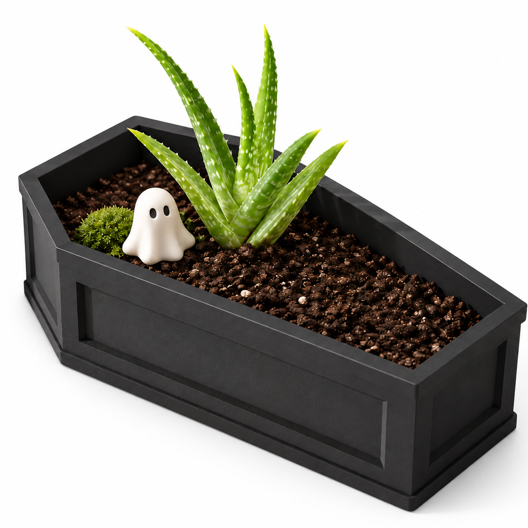 Coffin Plant Pot