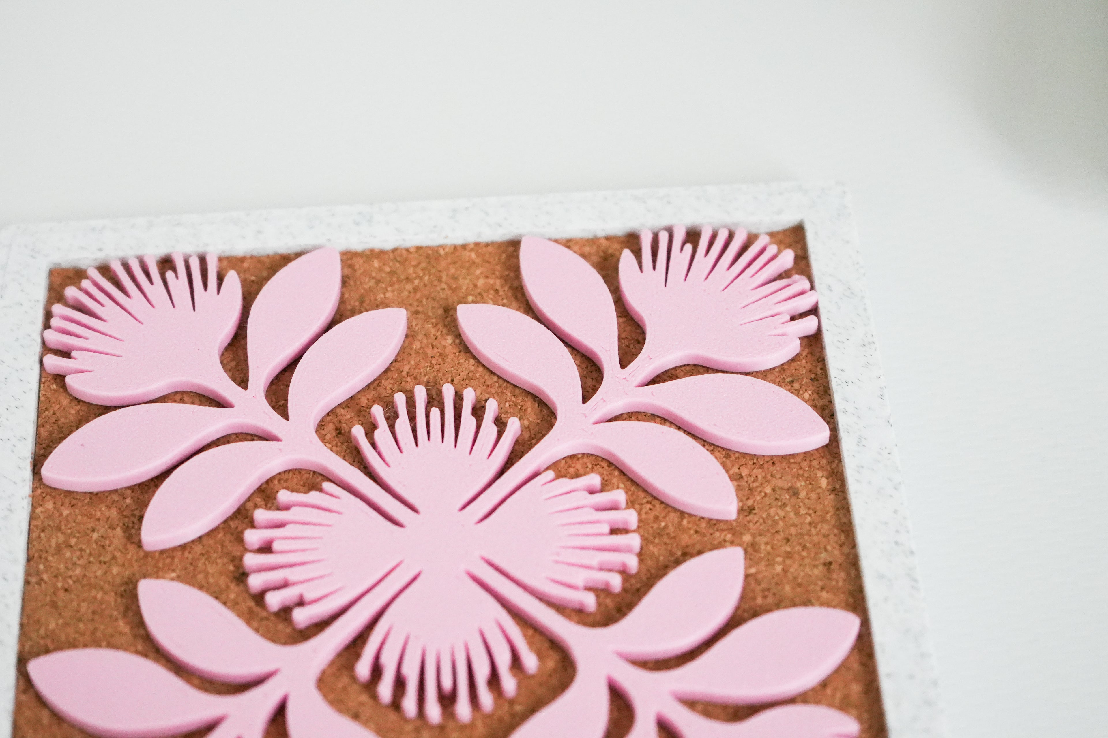 Mālama — Roughly Imperfect $2