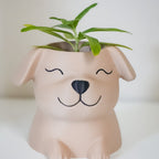 Puppy Pot