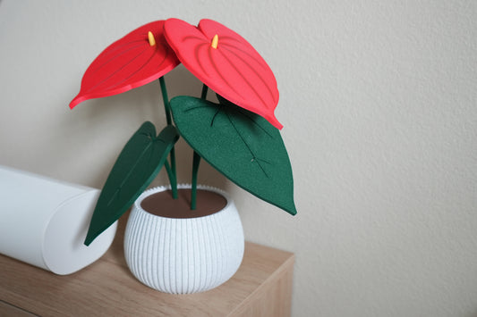 Anthurium Coaster