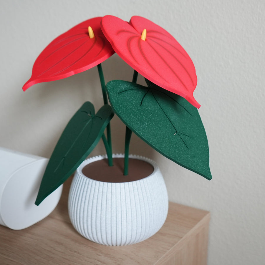 Anthurium Coaster Set with Storage Pot