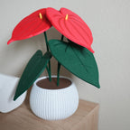 Anthurium Coaster