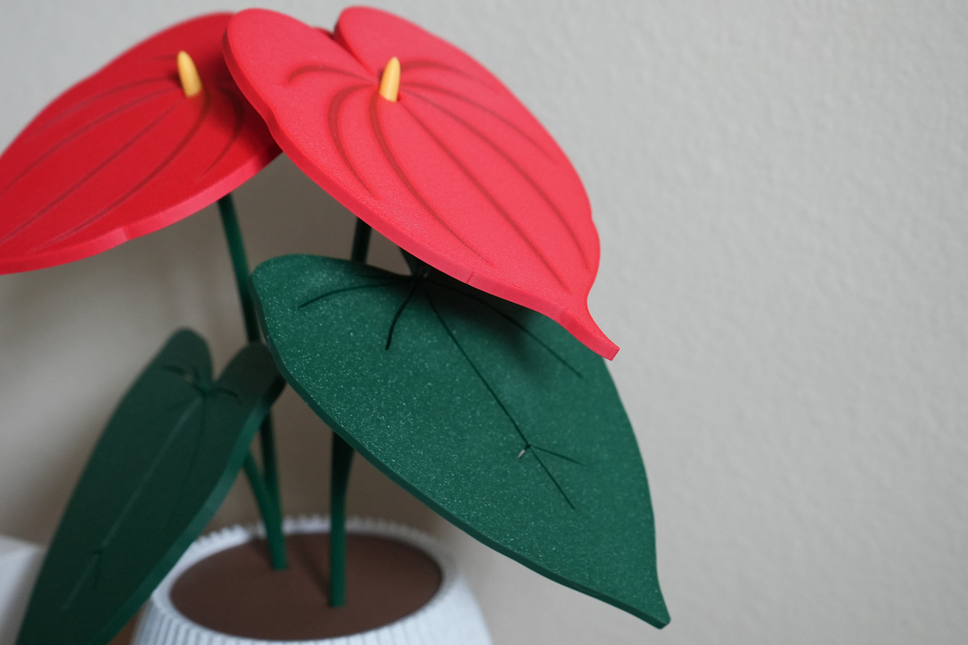 Anthurium Coaster Set