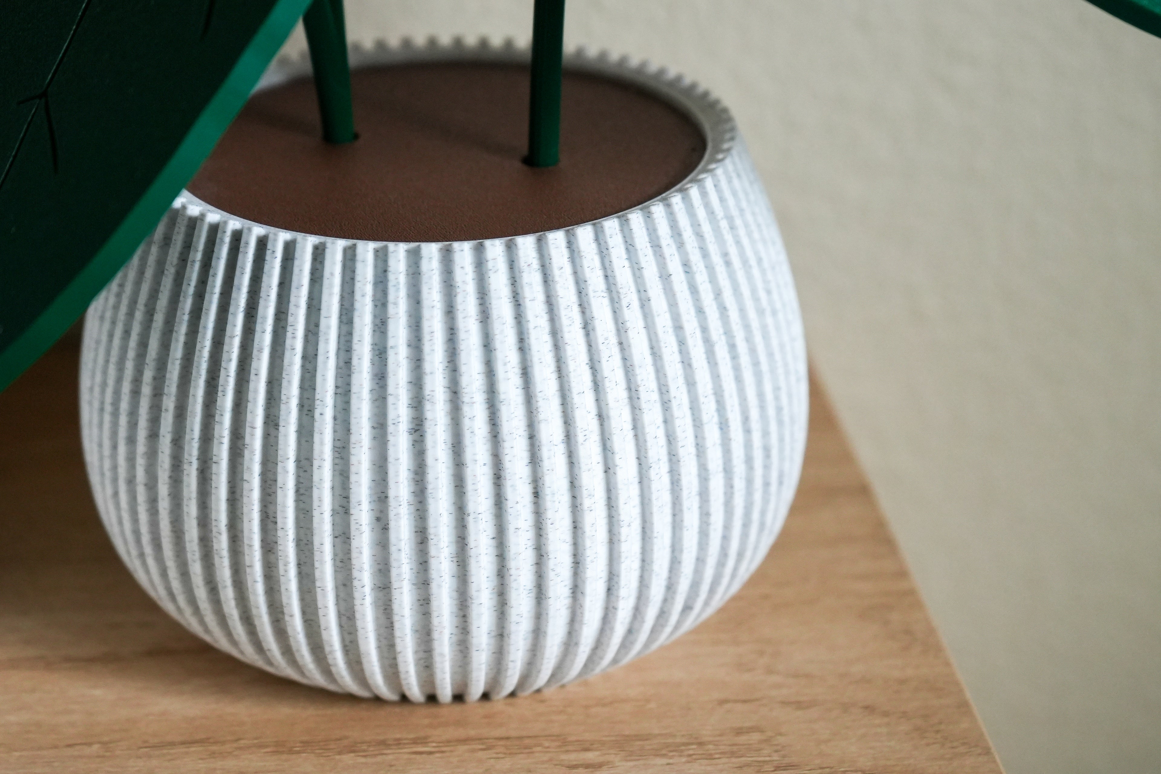 Anthurium Coaster Set