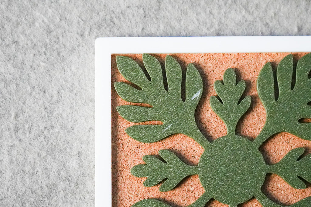 Mālama — Roughly Imperfect $2