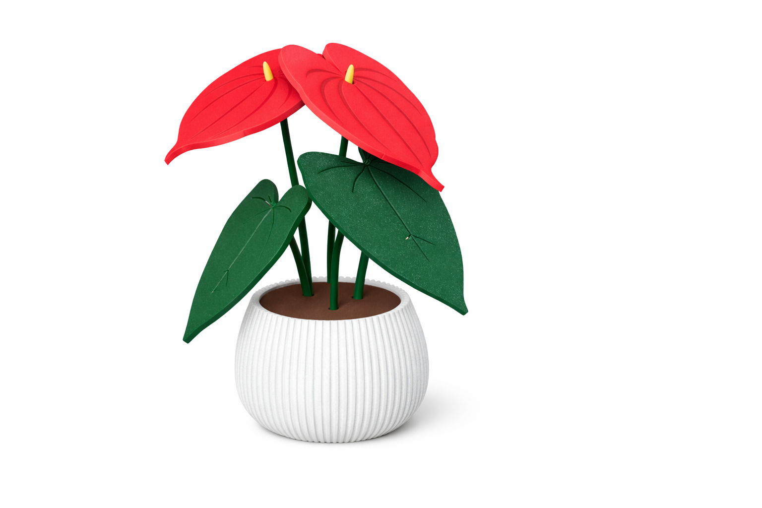 Anthurium Coaster
