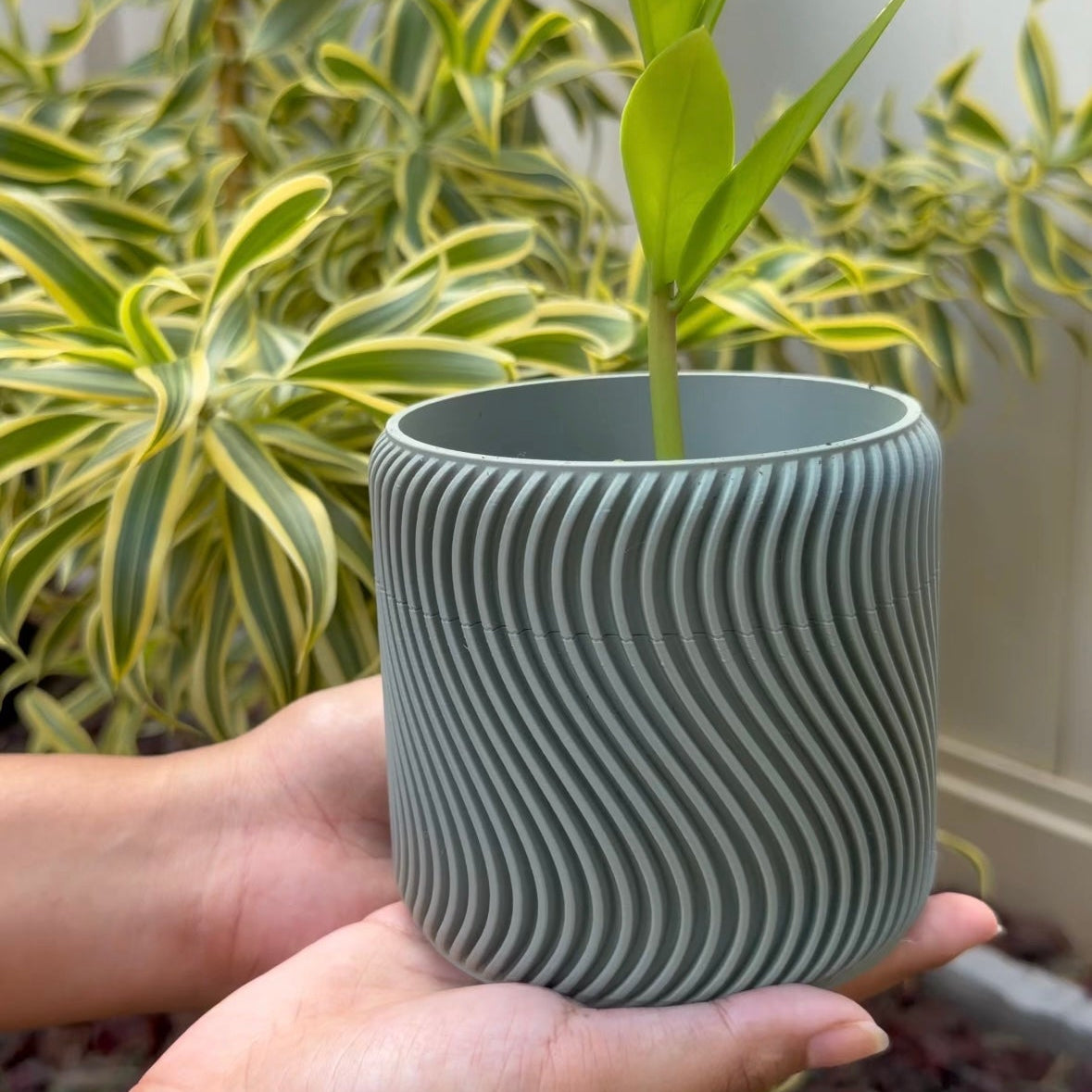 Ripple Pot