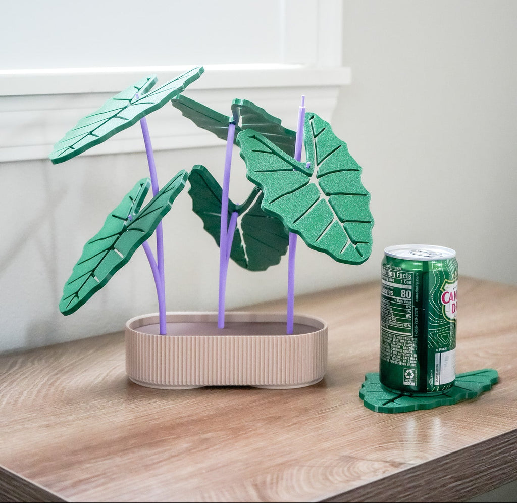 Kalo Coaster