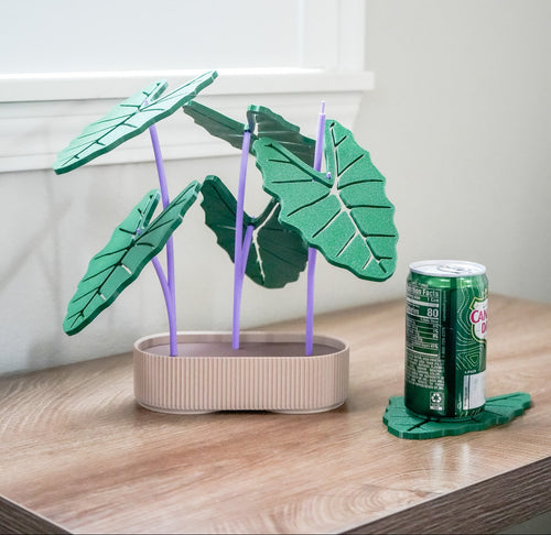 Kalo (Taro) Coaster Set