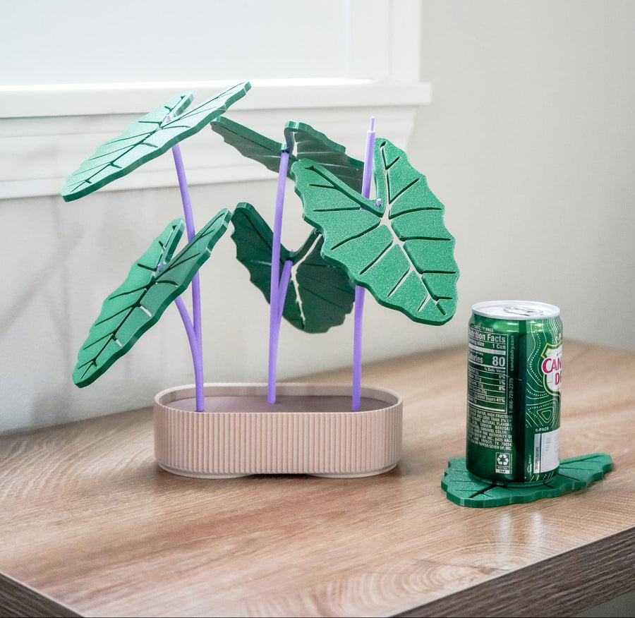 Taro (Kalo) Plant Coaster Set