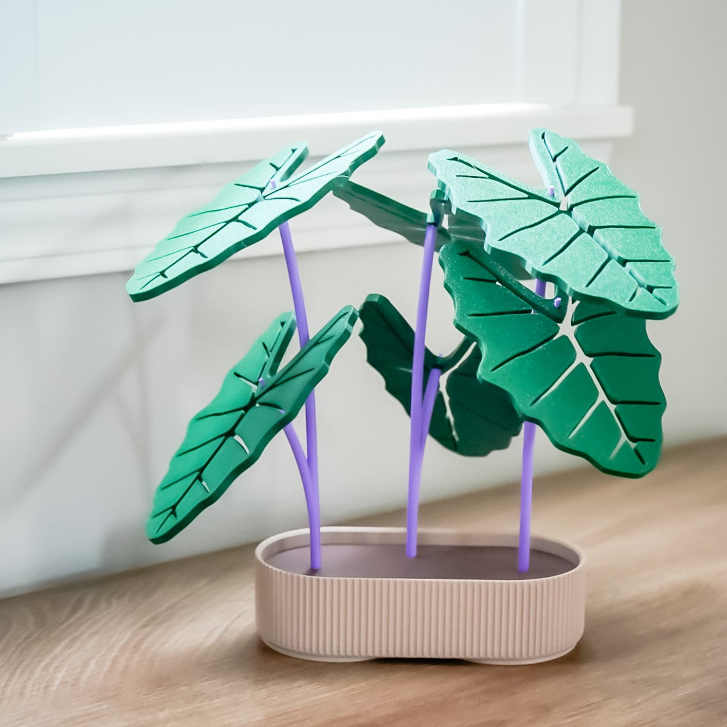 Kalo Coaster
