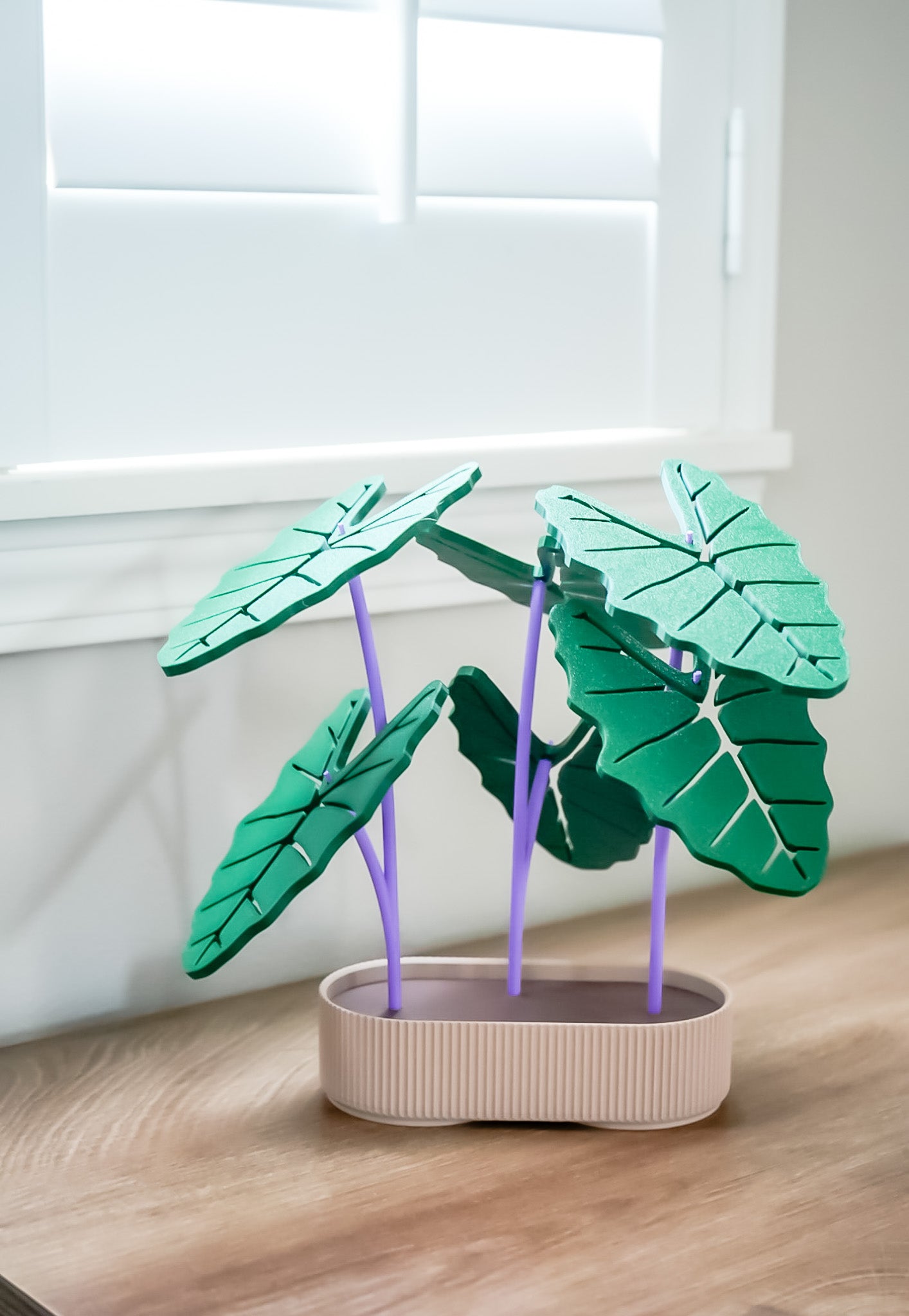 Kalo (Taro) Coaster Set