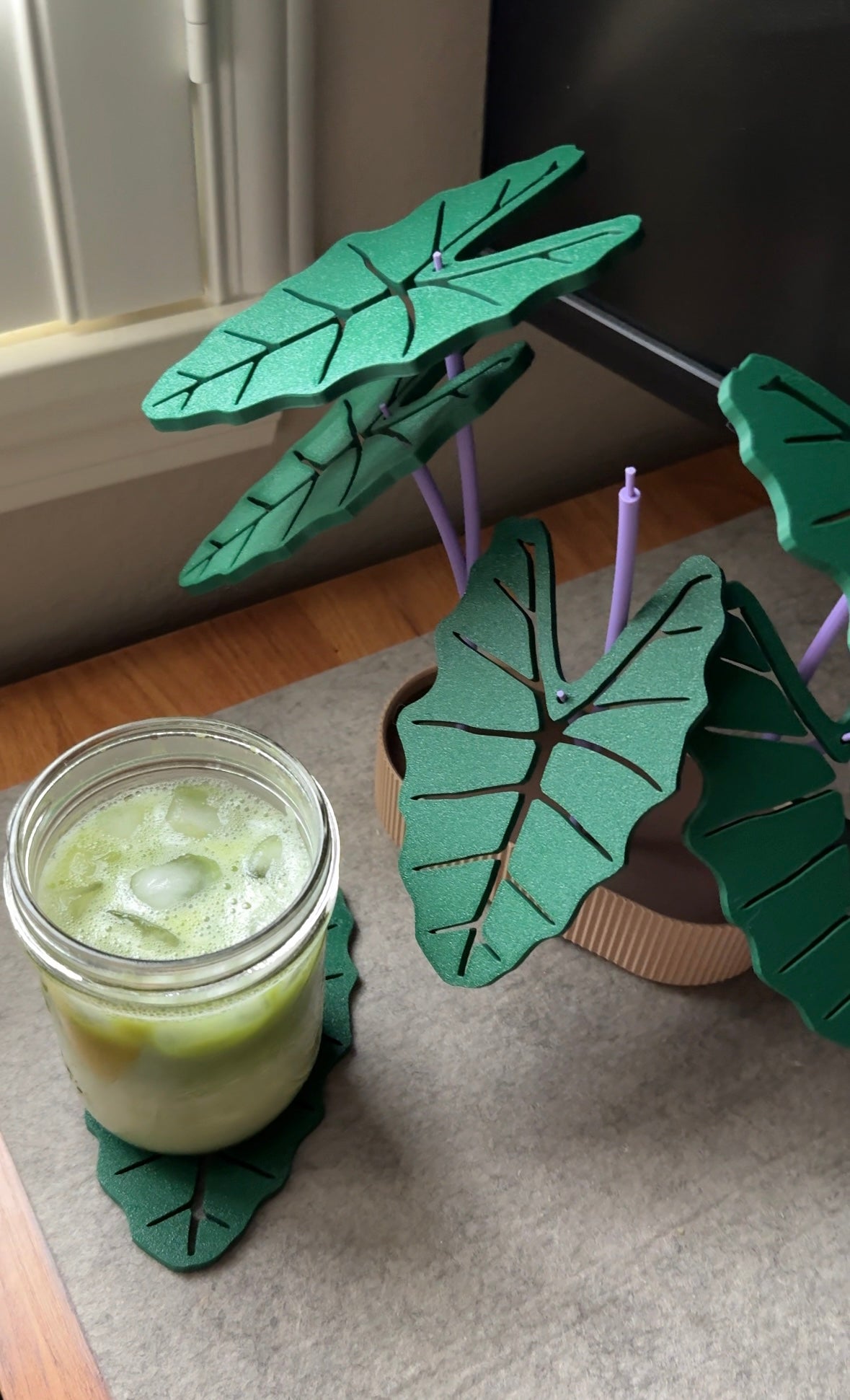 Kalo Coaster