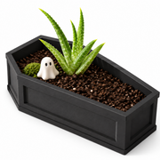 Coffin Plant Pot
