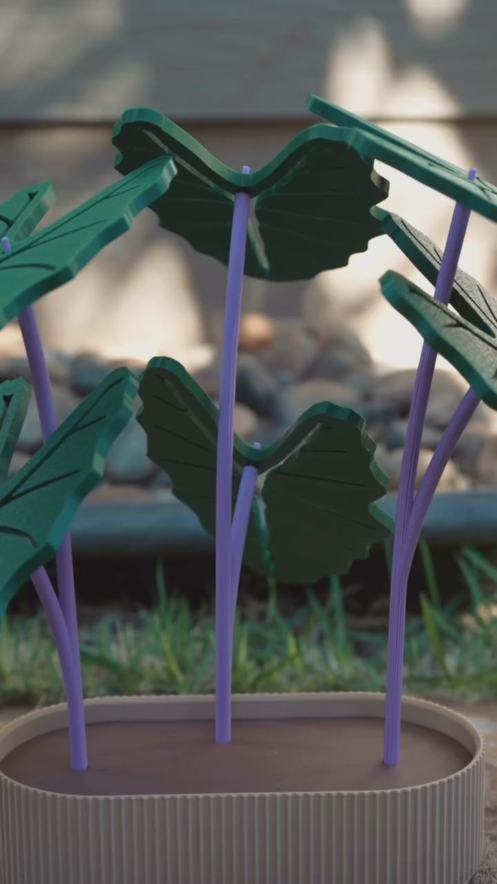 Kalo (Taro) Coaster Set